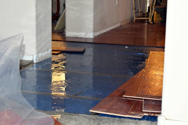 Professional Basement Flood Cleanup technician working in Lindsay, CA